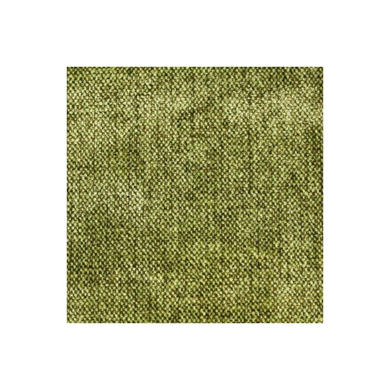 01290 Patine coloris 0106 vert olive