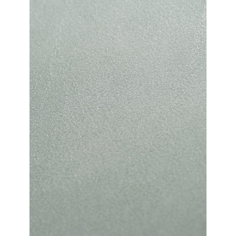 04015 Palma coloris 0027 silvergrey