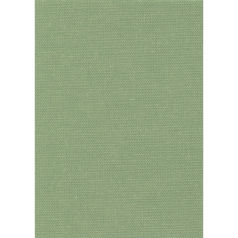 04113 Paratexa nf coloris 0008 seafoam green