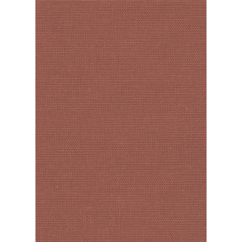 04113 Paratexa nf coloris 0012 marsala