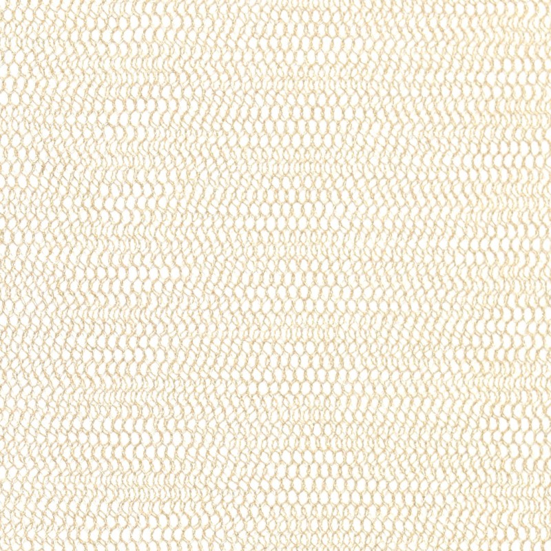 01943 Ephemere coloris 0003 champagne