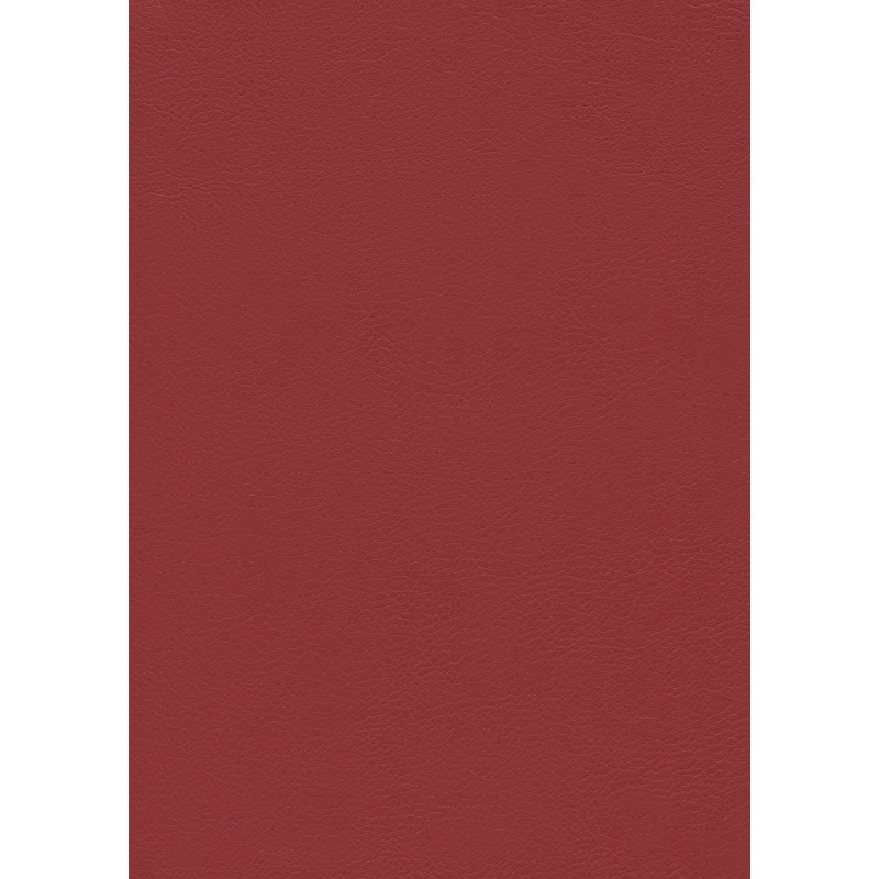 04050 Evida skai coloris 0019 cherry