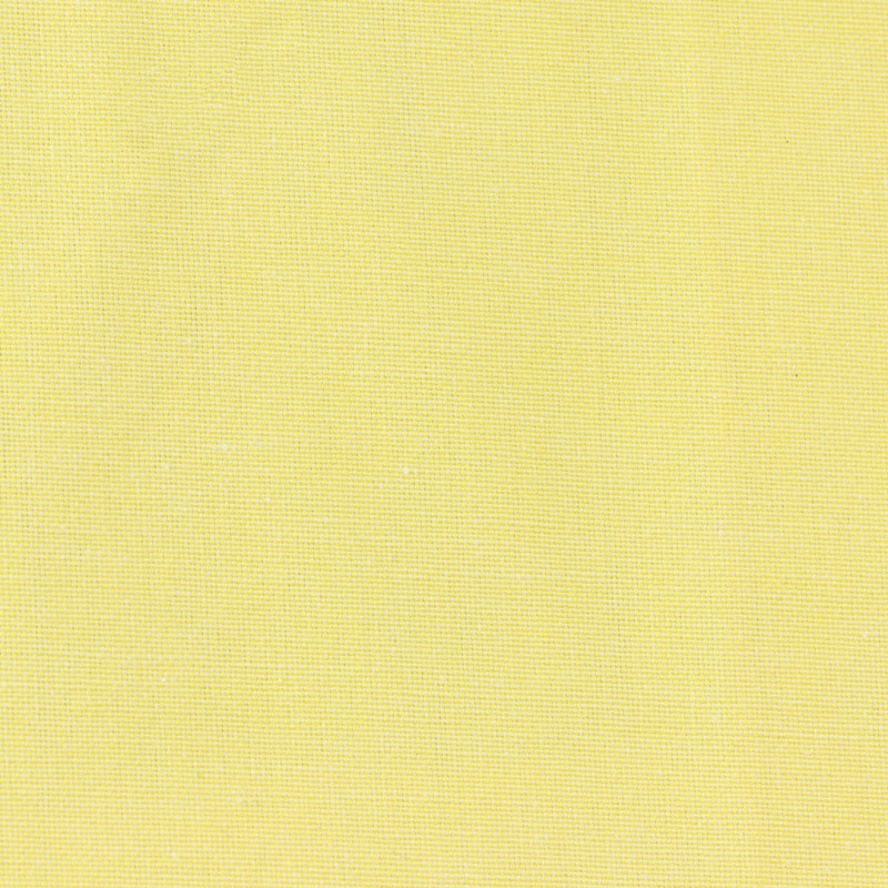 01091 Goa coloris 0041 citron