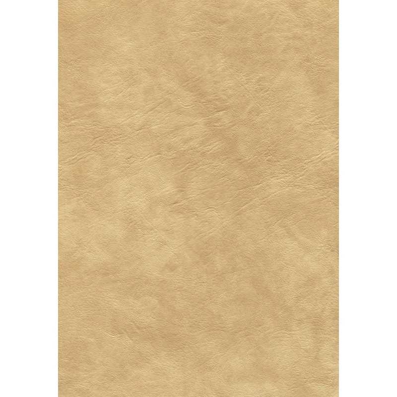 04106 Gavino coloris 0011 beige