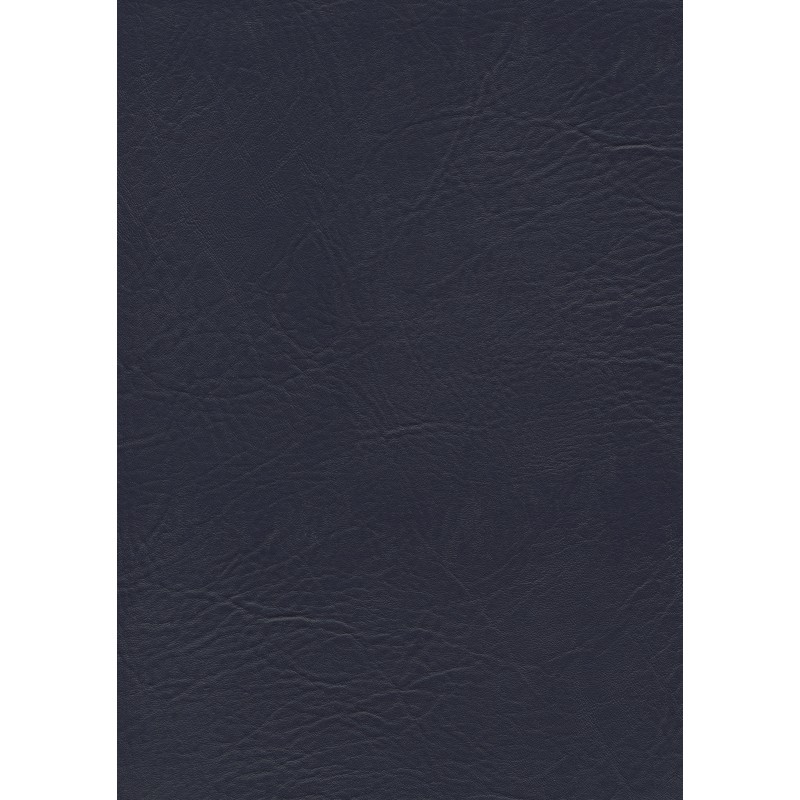 04112 Marea coloris 0003 navy