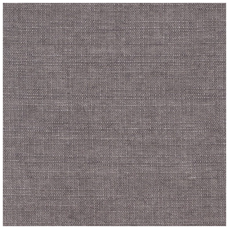 07176 Sedge coloris 0010 gris