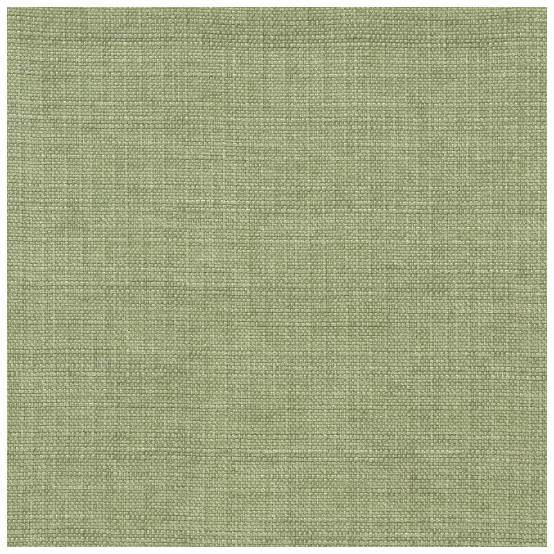 07176 Sedge coloris 0014 vert