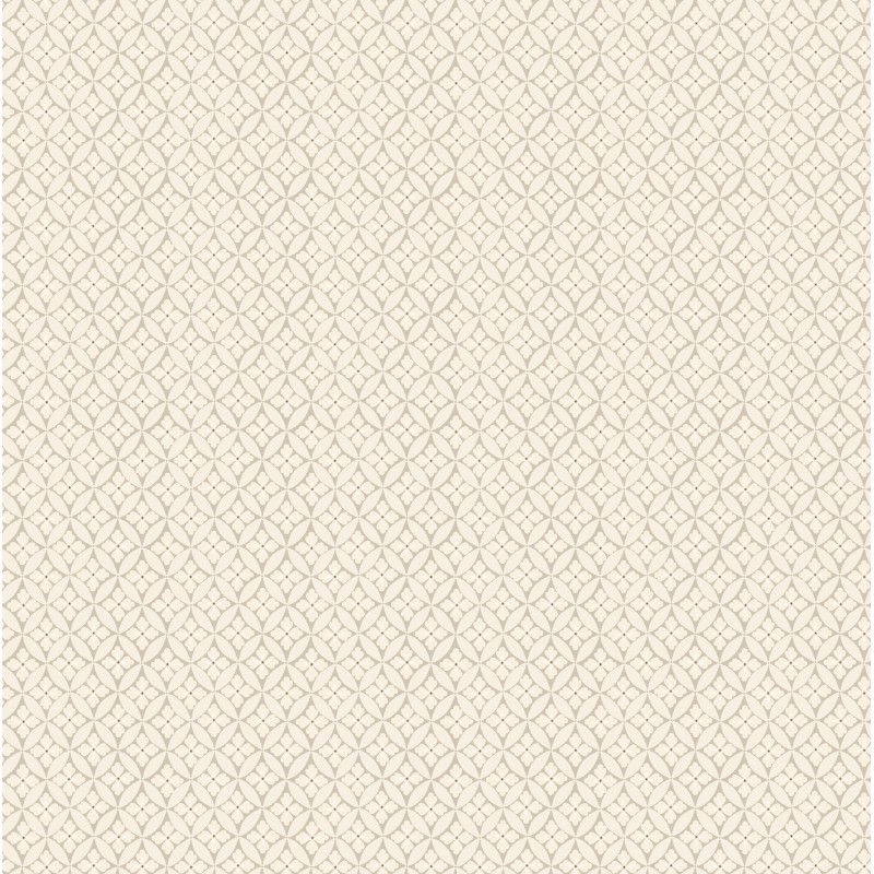 07173 Lattice coloris 0001 blanc