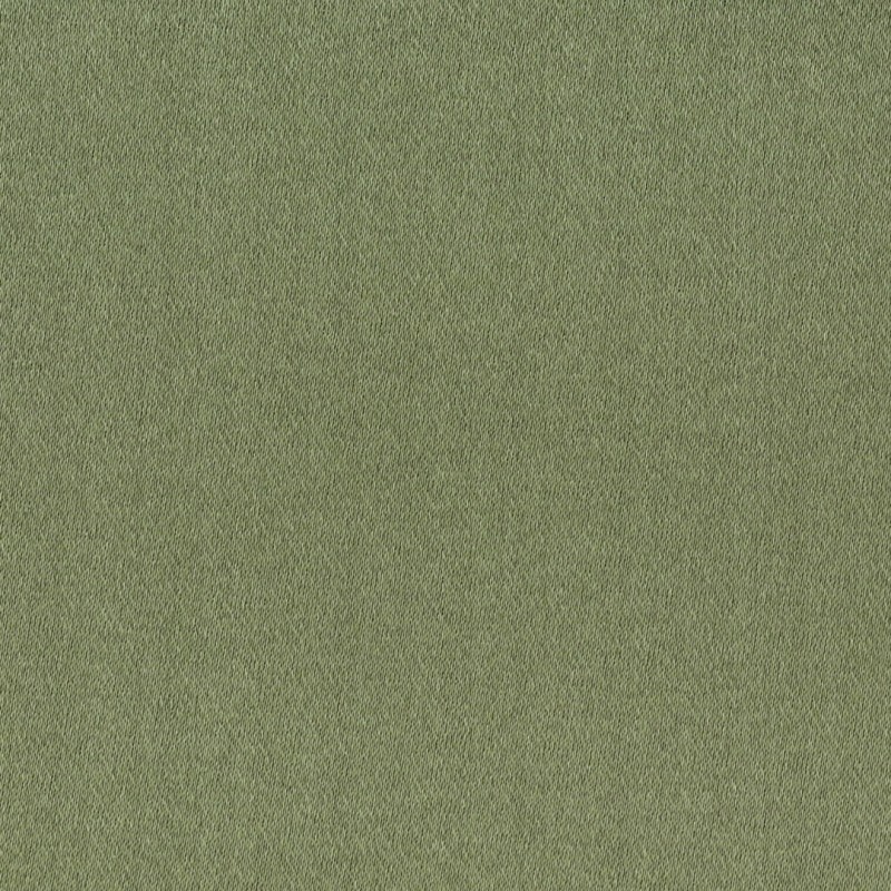 01864 Vamp coloris 0021 olive