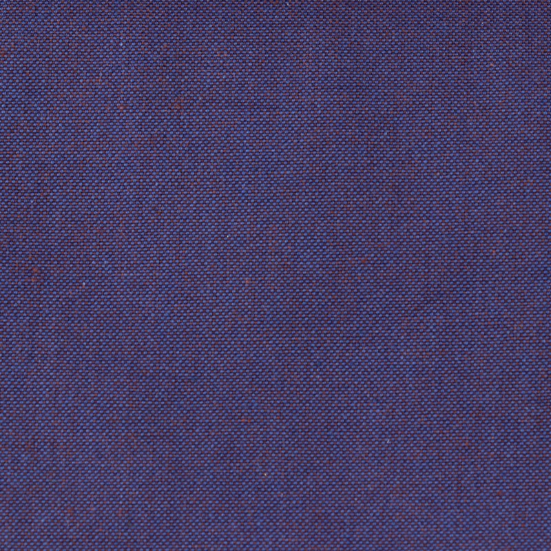 01091 Goa coloris 0064 prune