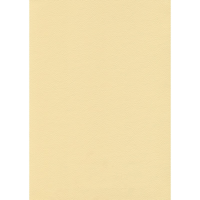 04107 Gemini coloris 0018 beige