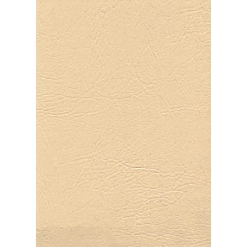 04112 Marea coloris 0006 beige