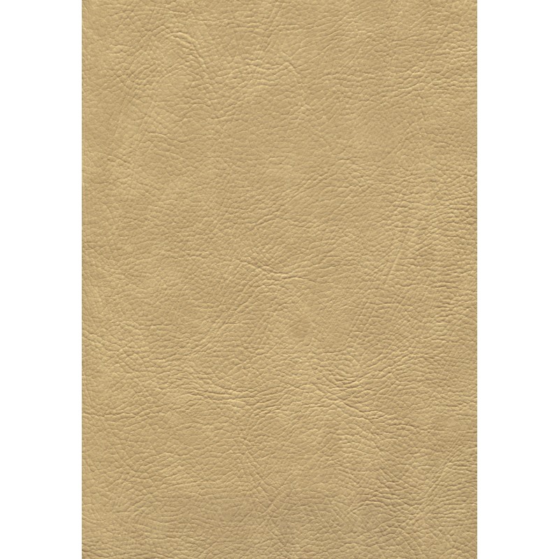 04109 Mailo coloris 0019 beige