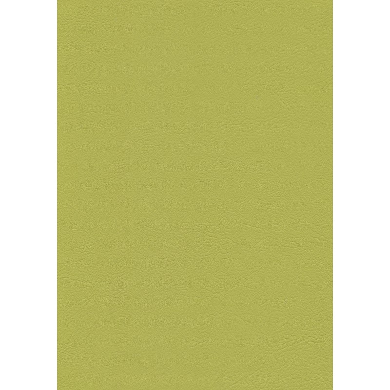 04050 Evida skai coloris 0007 lime