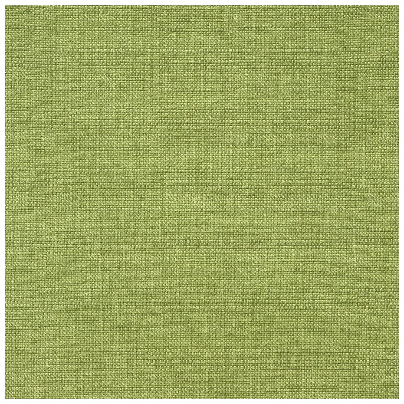 07176 Sedge coloris 0013 vert