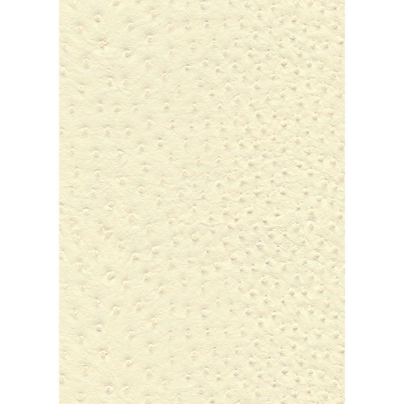 04040 Aliena coloris 0006 beige