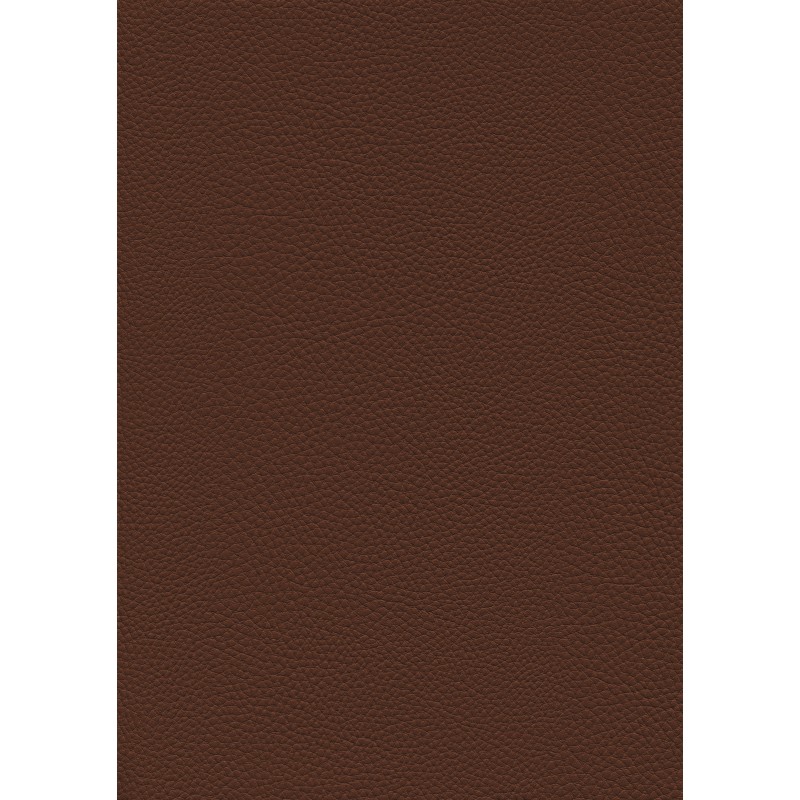 04108 Kimera en coloris 0004 cognac