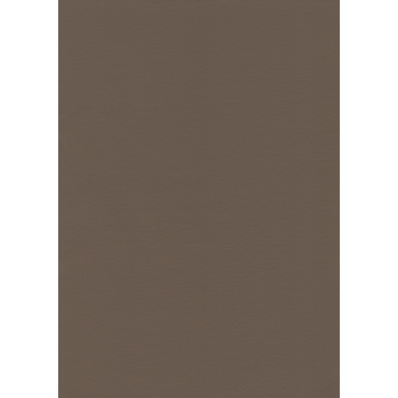 04114 Pureto en coloris 0004 taupe